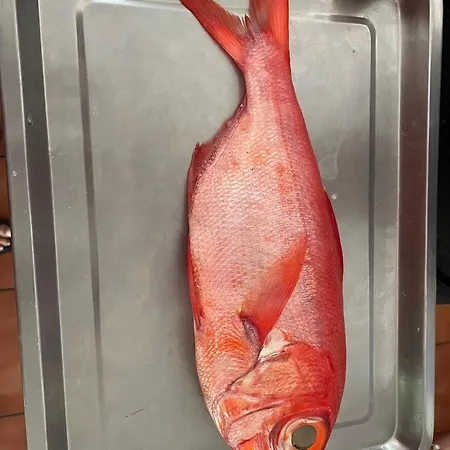 Olas Atico Penhouse With Terrace And Sea View, 2 Bedrooms * La Caleta